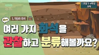 [초등 과학 4-1] 2. 지층과 화석 - 6차시. 여러가지 화석을 관찰하고 분류해볼까요?