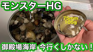 【潮干狩り】次はGWの大潮狙い目です【モンスターHG】御殿場海岸