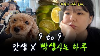 👩🏻‍💻직장인 Vlog👩🏻‍💻 재택근무러의 갓생... 이 아니고 걍 개빡센 하루