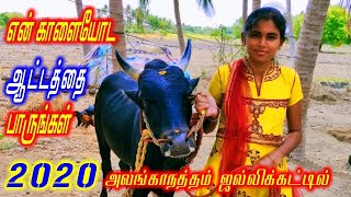 இது நான் வளர்த்த காளை அலங்காநத்தம் ஜல்லிக்கட்டில் alanganatham jallikattu 2020