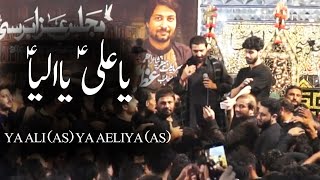 Ya Ali Ya Aeliya | Ali Shanawar | Nadeem Sarwar | Majlis o Azadari | 4k