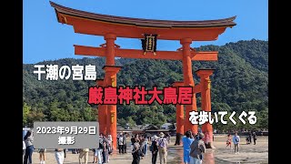 【風景動画】干潮の宮島　厳島神社　大鳥居　を歩いてくぐる