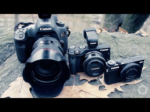 Choosing the Right Camera: Two Minute Tips with David Bergman Choosing the Right Camera: Two Minute Tips with David Bergman