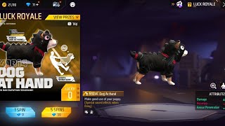 M1014 DOG AT HAND \u0026 SHIBA SURF EMOTE |NEW LUCK ROYALE