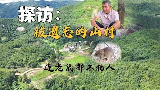 实拍广东惠来被遗忘的山村，人兽同居仅住一人，这是世外桃源？【潮游记】