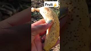 Banana farming in short video 🍌🍎🥝 #shorts  #bananafarming #fruitcutting #fruitharvest @Food-home14G