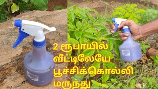 poochi kolli marunthu | poochi viratti for plants | best organic pesticide for plants |