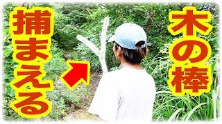 【石川県で釣り対決 #9】全く知らない未開の地で虫とりしてみた