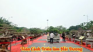 Toàn Cảnh Triển lãm Hải Dương