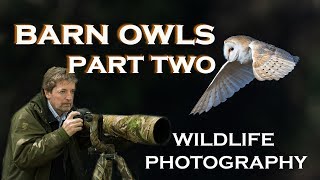 WILDLIFE PHOTOGRAPHY:  BARN OWLS:  (Part Two)