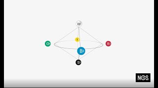 NCS – Natural Colour System®