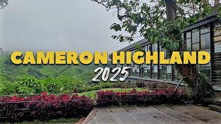 CAMERON HIGHLAND 2025 \