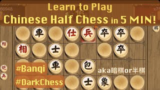 Learn to Play Chinese Half Chess/Banqi in 5 Minutes! (Rules easier than Xiangqi 象棋!)