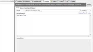 Web Application Hacking 101 - HTTP Method Tampering