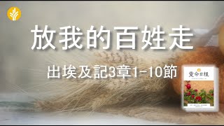 1月20日 放我的百姓走