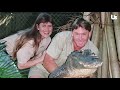 terri irwin met late husband steve the same way daughter bindi met fiancé chandler powell