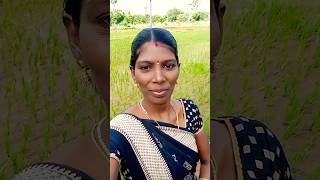 நீதான் எனக்கு சாமி #musicgenre#youtubeshorts