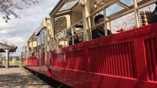 小湊鐡道  里山トロッコ列車 桜咲く駅から