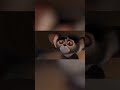 All Hail King Julien!