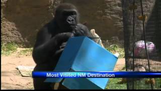 ABQ Zoo most visited NM destination