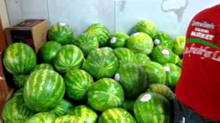 Watermelons in Sarasota at Detwiler Market