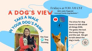 A Dog's View- Today's Topic: Why Dogs Don't Listen - Dec 22, 2023