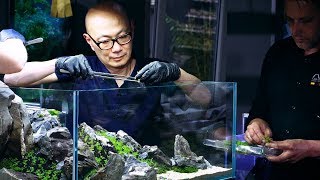 PLANTED TANK LEGENDS - IAPLC GRAND PRIZE WINNER DAVE CHOW 360 VIEW WORKSHOP