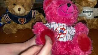 The Sports Teddy Bear Collection - MLB, NFL, NBA, NHL ⚾️🏈🏀⚽️