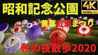 【α7SⅢ】【4K】昭和記念公園　ライトアップ　黄葉紅葉まつり　秋の夜散歩2020　S-log3 4:2:2 10bit