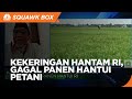 Gak Cuma Kemarau Panjang, Ini Persoalan Yang Dihadapi Petani RI