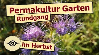 ♻️Permakultur Garten im Herbst 🌻Gartenrundgang an einem wunderschönen Oktober Morgen🌞 | 🎬 Folge 119