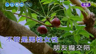 感情放一邊~江蕙~男Bb調~伴奏~音樂丙