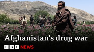 Inside the Taliban's war on drugs - BBC News