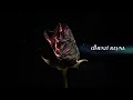Dhenzi Rayna by STW ft. Nima Wangchuk (Official Lyric Video)