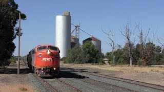 HARD WORKING Diesel Locomotives - BRILLIANT Lashups & Colour - Grain Trains 2.