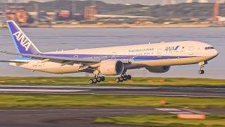 30 PLANE TAKEOFFS & LANDINGS at Haneda Airport [HND/RJTT]