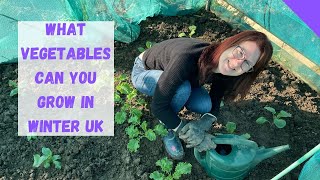 What Vegetables Can You Grow In Winter In UK?