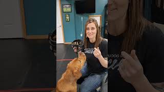Muzzle conditioning step 1