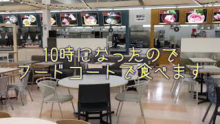 【堺市】まぐろパークでまぐろ丼を食べる【大起水産】