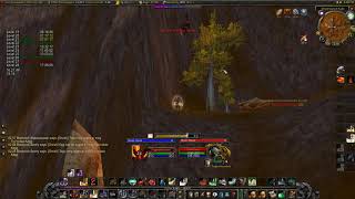 Classic WoW - Paladin Tharil'Zun solo at 27