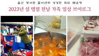 2023년 설 명절 전날 방어진 활어센타 가족 일상 브이로그 New Year holiday in 2023, Bangeojin’s live fish center