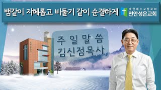 뱀같이 지혜롭고 비둘기같이 순결하게 | 천안성은교회 김신점 목사