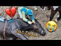 Die traurige Geschichte eines Pferdes namens Storm..💔Schleich Video