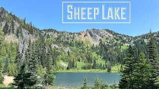 Sheep Lake 2024