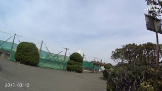 170312ふなばし三番瀬海浜公園