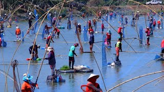 ยกยอหว่านแหจับปลา หนองเรือเพียปู่ จังหวัดอุดรธานี