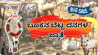 ಬೂಕನಬೆಟ್ಟ ದನಗಳ ಜಾತ್ರೆ #farmer #farming #cow #bull #festival