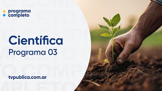 Programa 03: Agricultura regenerativa - Científica