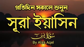 (প্রতিদিন সকালে শুনুন) আবেগময় কন্ঠে সূরা ইয়াসিন। Surah Yasin Morning Quran recitation سوره يس