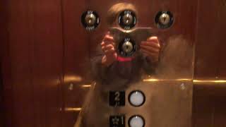 Von Maur (Greenwood Park Mall) Montgomery KONE Elevator 🛗